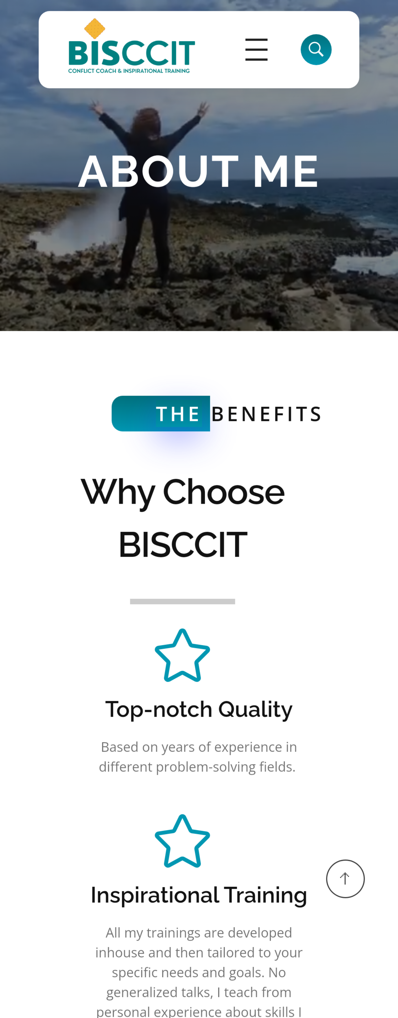 BISCCIT screenshot about mobile