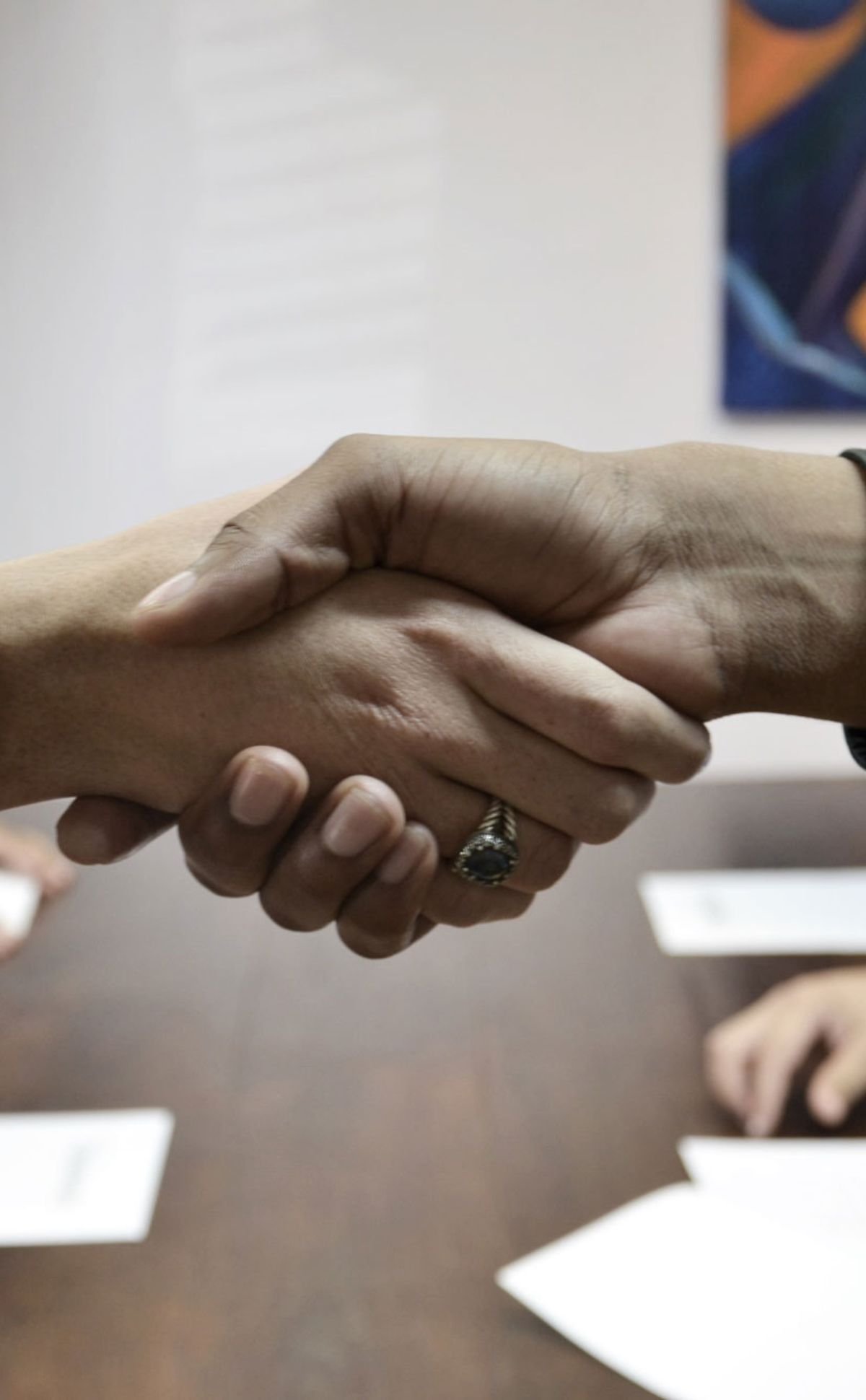 Porfolio CMA Dgitalroots